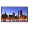 NEC Displays MultiSync P462 - 46" Class ( 46" viewable ) LCD flat panel display - widescreen - 1080p (FullHD) - black P462